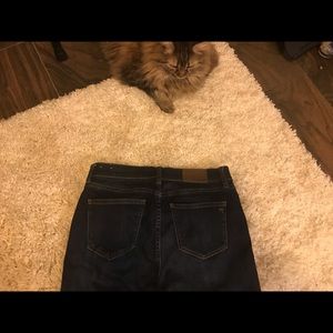 Madewell High Rise Slim Boyjean (cat not included)